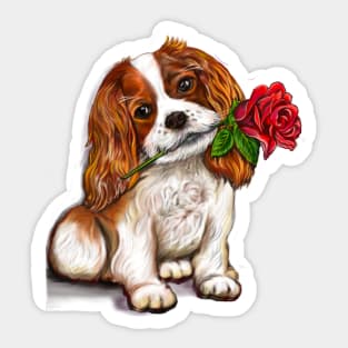 The Best Valentine’s Day Gift ideas 2022, cavalier king charles spaniel Cute puppy  dog with red rose in its mouth. Cavapoo dog Valentine’s day Sticker